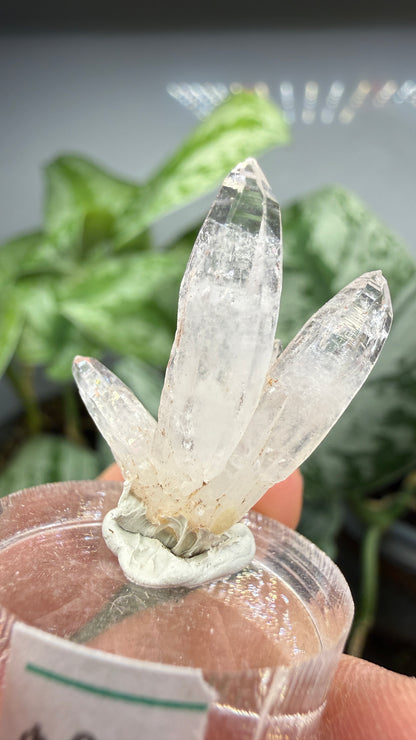 Amethyst, Clear Quartz- Las Vigas de Ramírez Municipality, Veracruz, Mexico