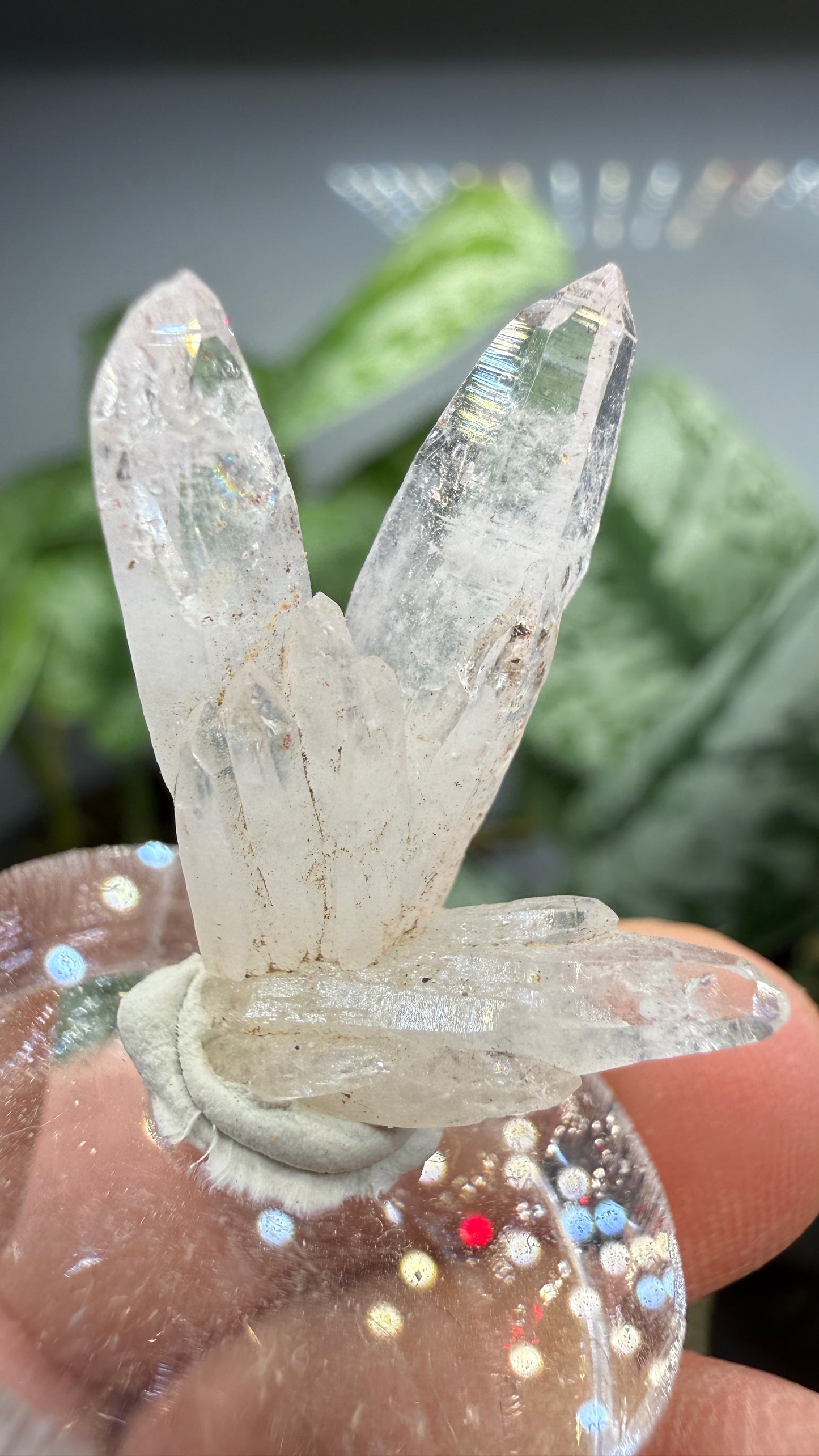 Amethyst, Clear Quartz- Las Vigas de Ramírez Municipality, Veracruz, Mexico