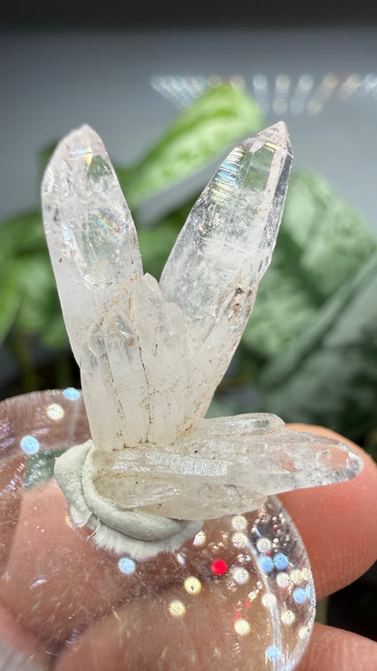 Amethyst, Clear Quartz- Las Vigas de Ramírez Municipality, Veracruz, Mexico