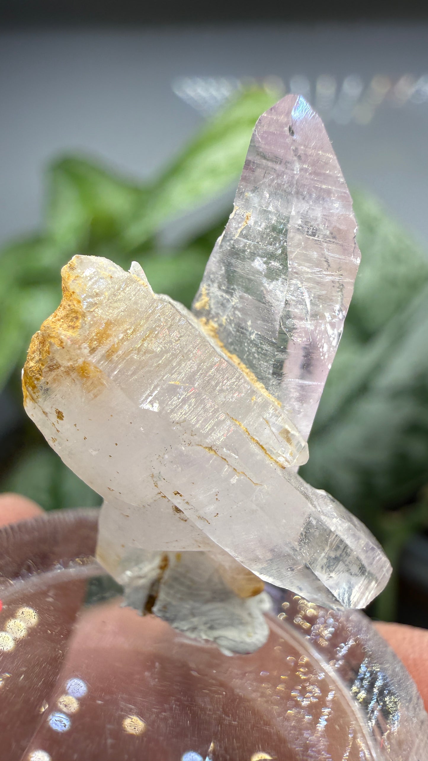 Amethyst, Clear Quartz- Las Vigas de Ramírez Municipality, Veracruz, Mexico