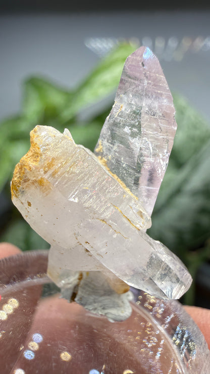 Amethyst, Clear Quartz- Las Vigas de Ramírez Municipality, Veracruz, Mexico