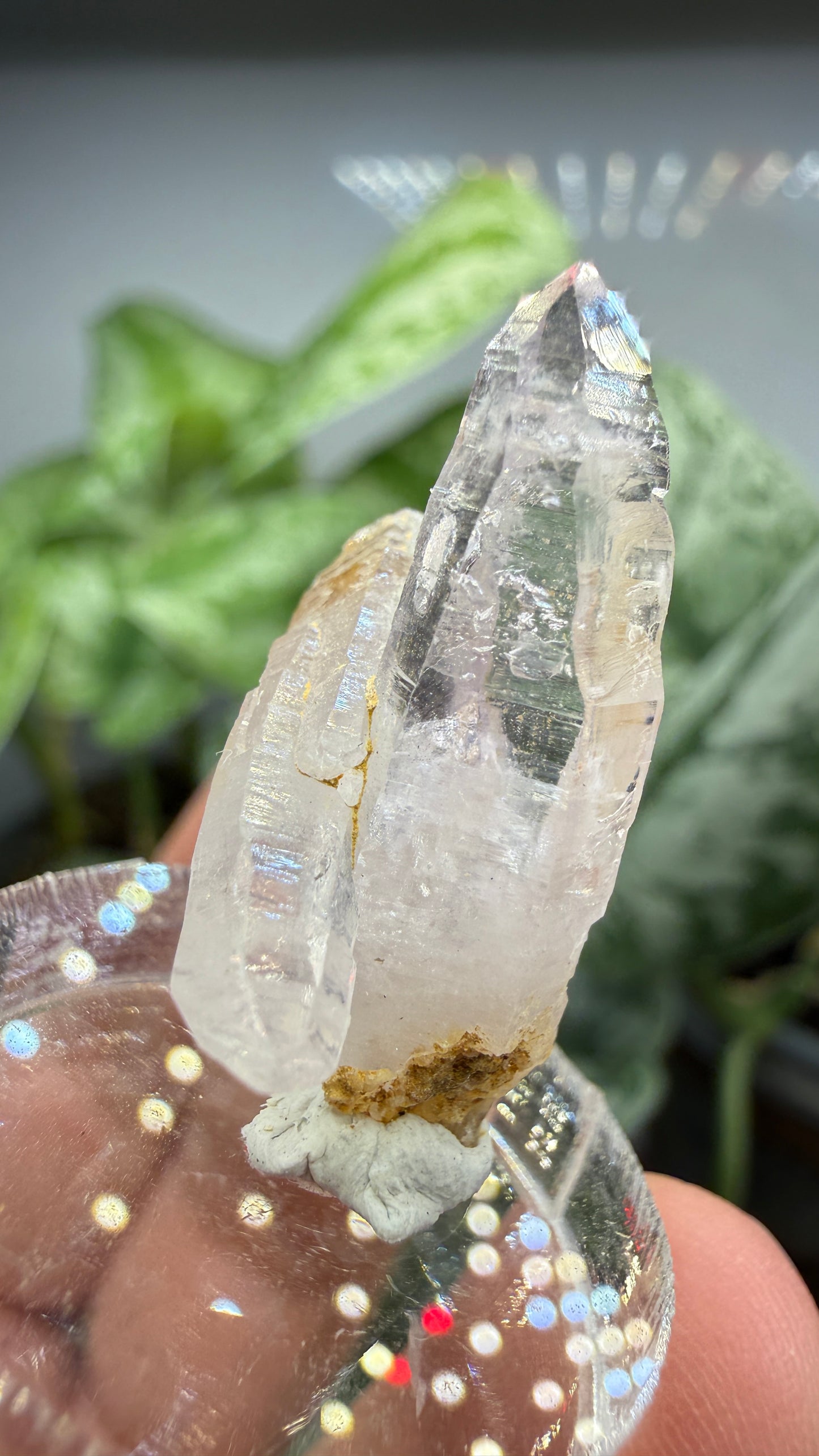 Amethyst, Clear Quartz- Las Vigas de Ramírez Municipality, Veracruz, Mexico