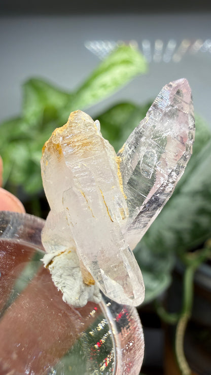 Amethyst, Clear Quartz- Las Vigas de Ramírez Municipality, Veracruz, Mexico