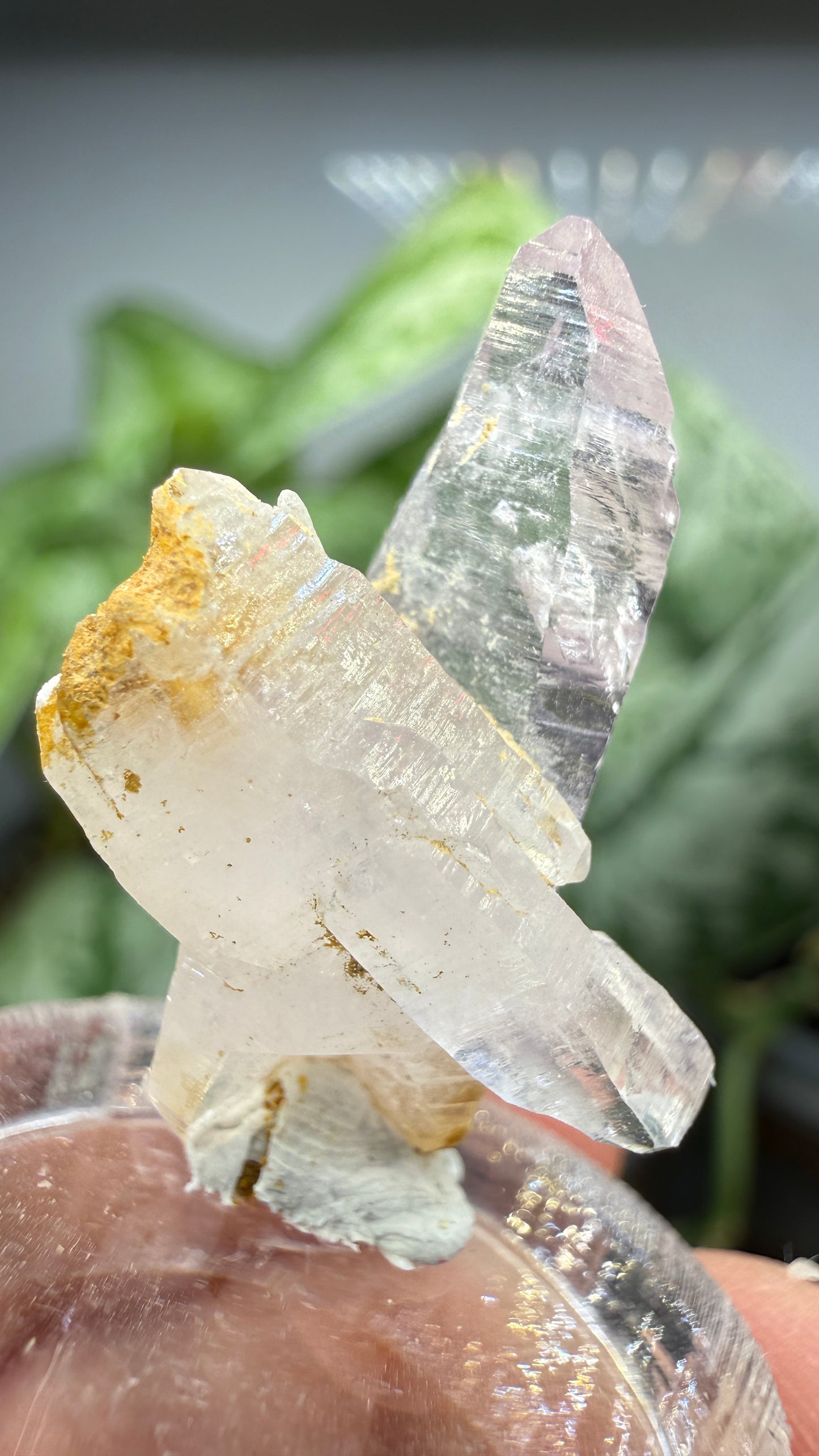 Amethyst, Clear Quartz- Las Vigas de Ramírez Municipality, Veracruz, Mexico
