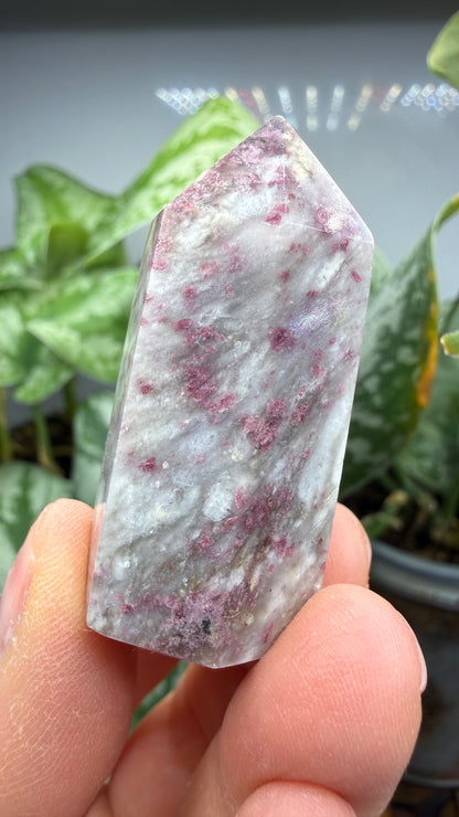 Rubellite in Quartz Point- 1.75" inches