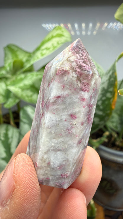 Rubellite in Quartz Point- 1.75" inches