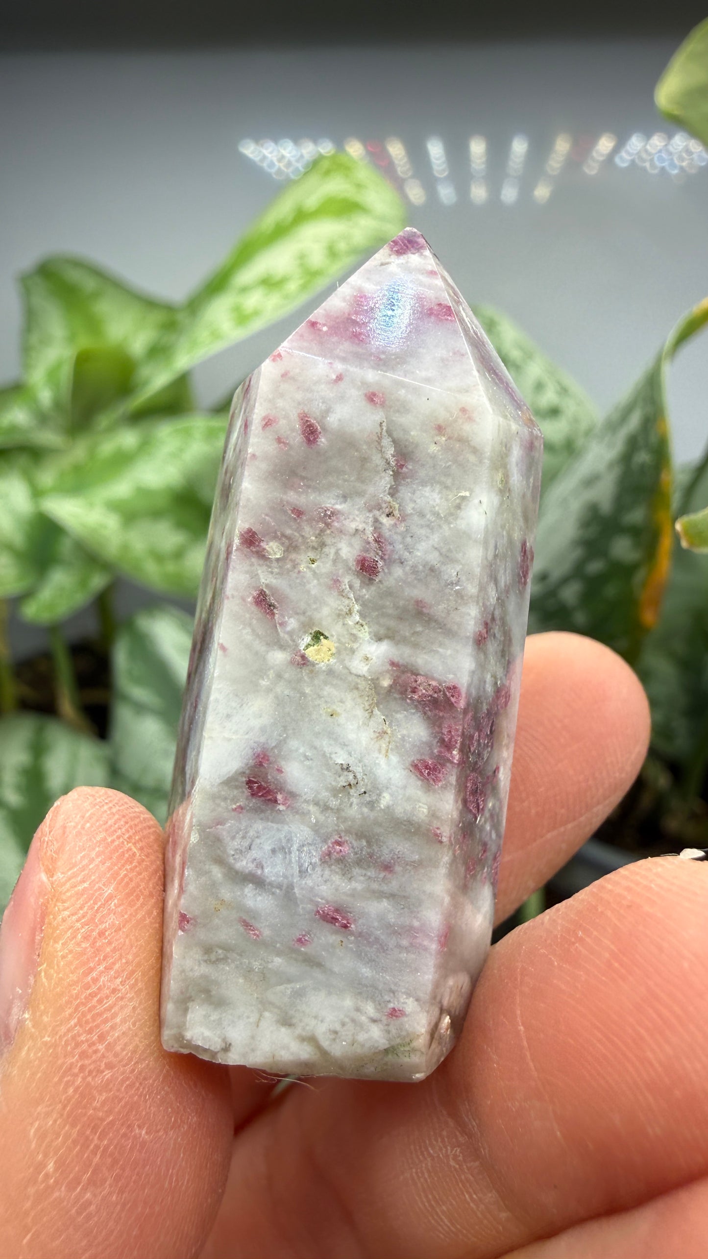 Rubellite in Quartz Point- 1.75" inches
