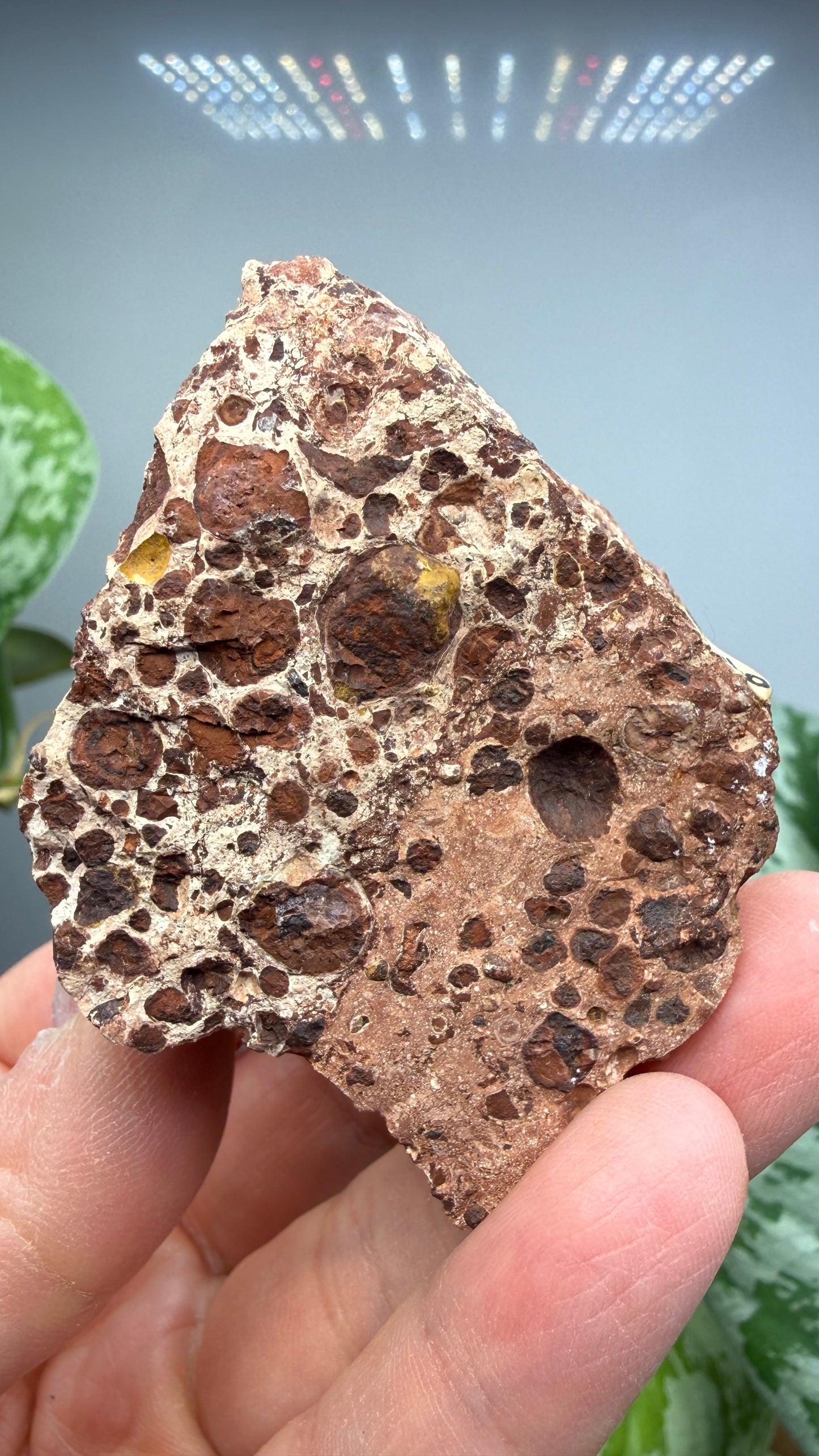 Bauxite- La Llacuna-Mediona area, Barcelona, Catalonia, Spain