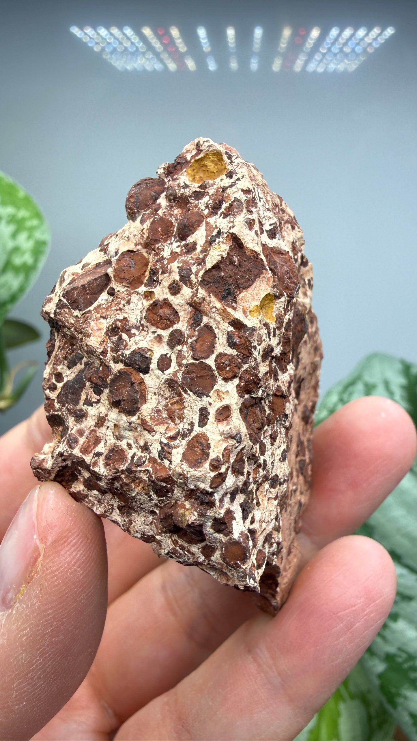 Bauxite- La Llacuna-Mediona area, Barcelona, Catalonia, Spain