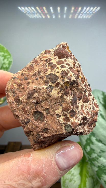 Bauxite- La Llacuna-Mediona area, Barcelona, Catalonia, Spain
