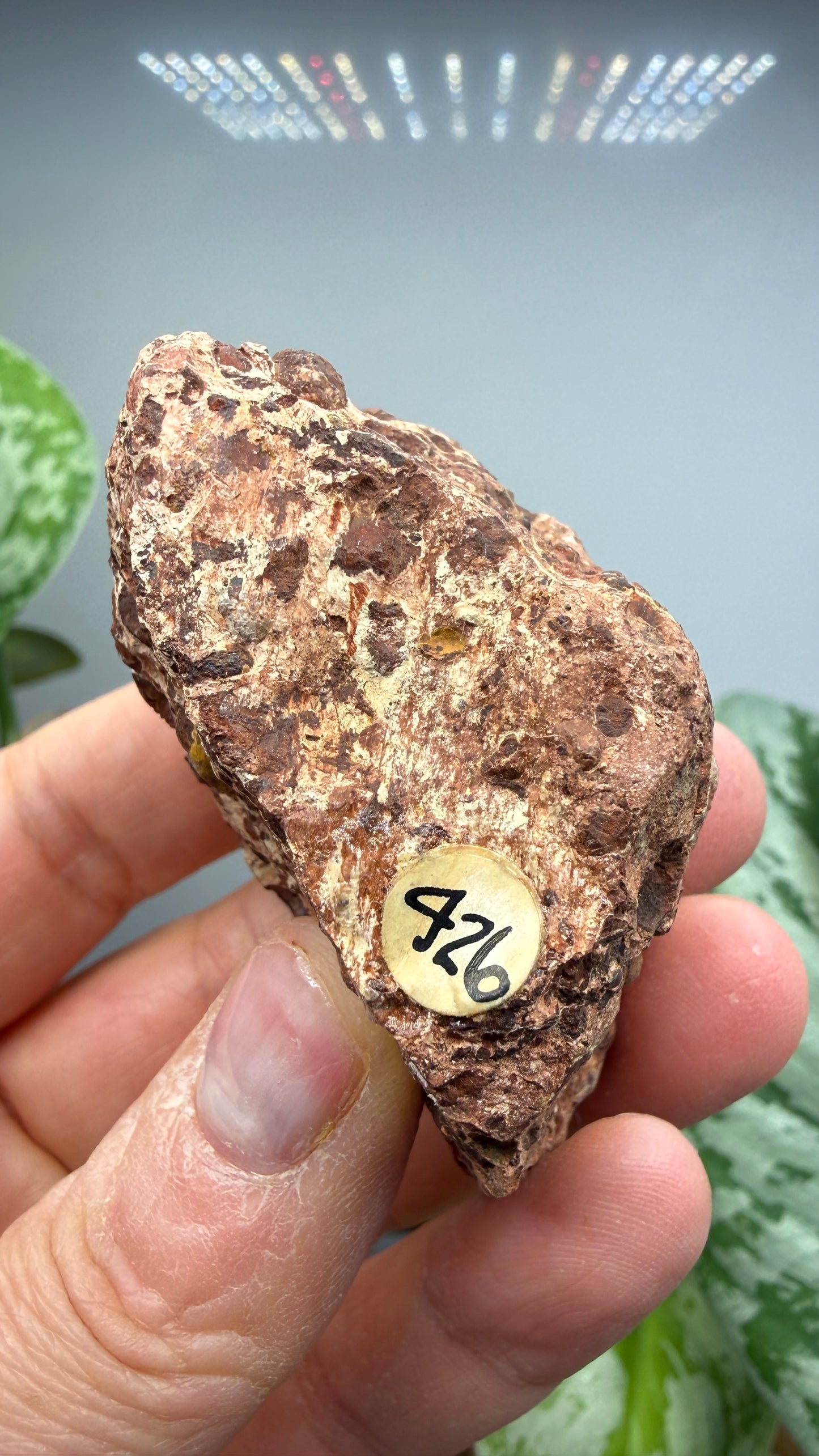 Bauxite- La Llacuna-Mediona area, Barcelona, Catalonia, Spain