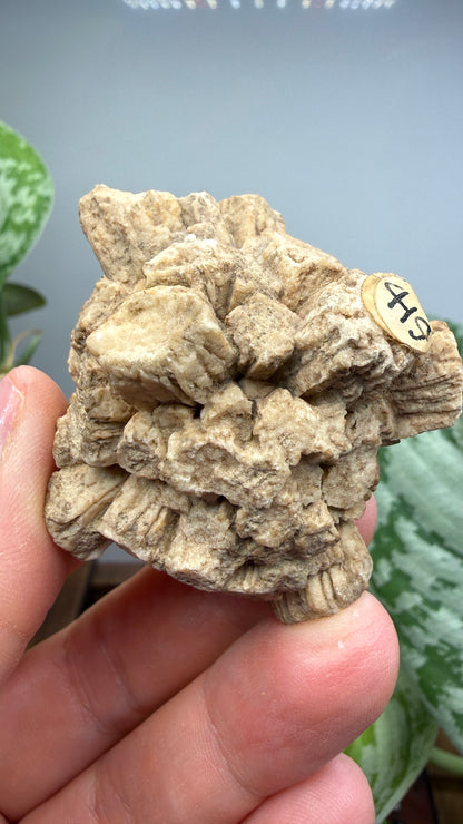 Aragonite (potential pseudomorph?)- Arizona