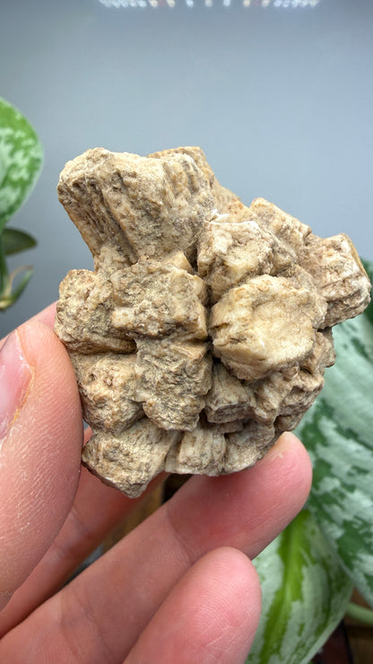 Aragonite (potential pseudomorph?)- Arizona