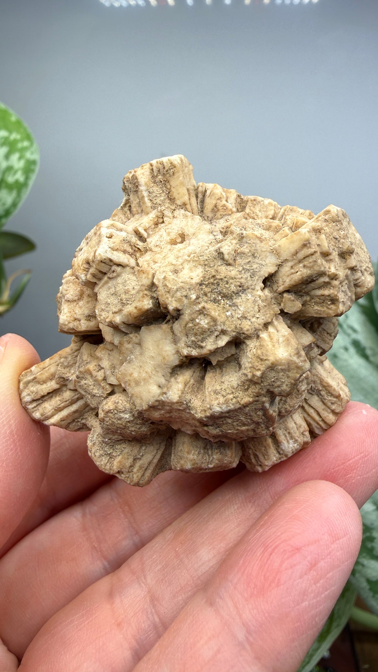 Aragonite (potential pseudomorph?)- Arizona