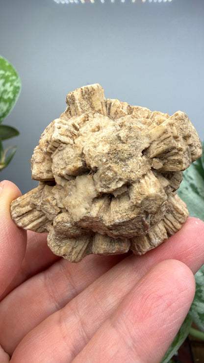 Aragonite (potential pseudomorph?)- Arizona