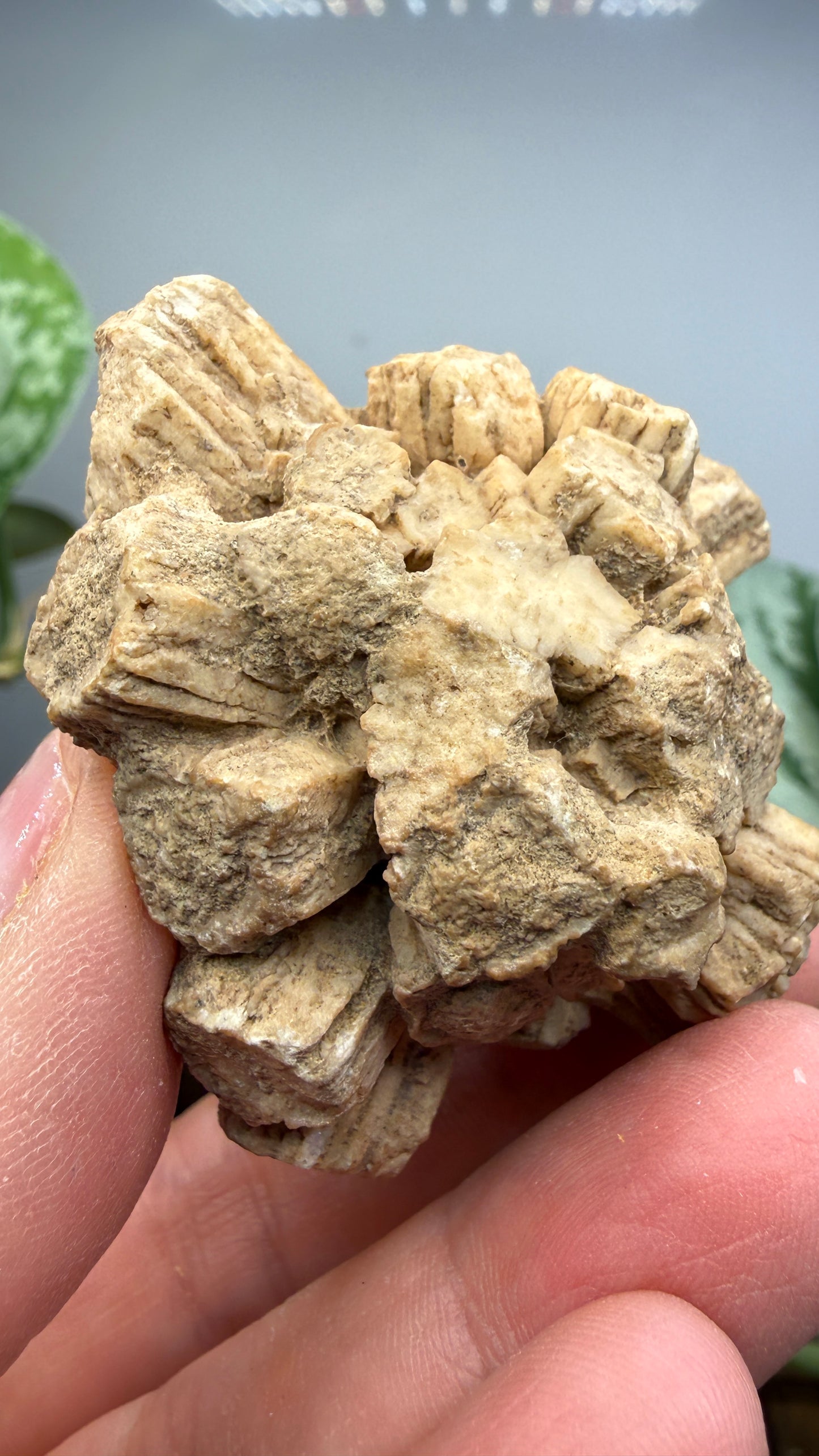 Aragonite (potential pseudomorph?)- Arizona
