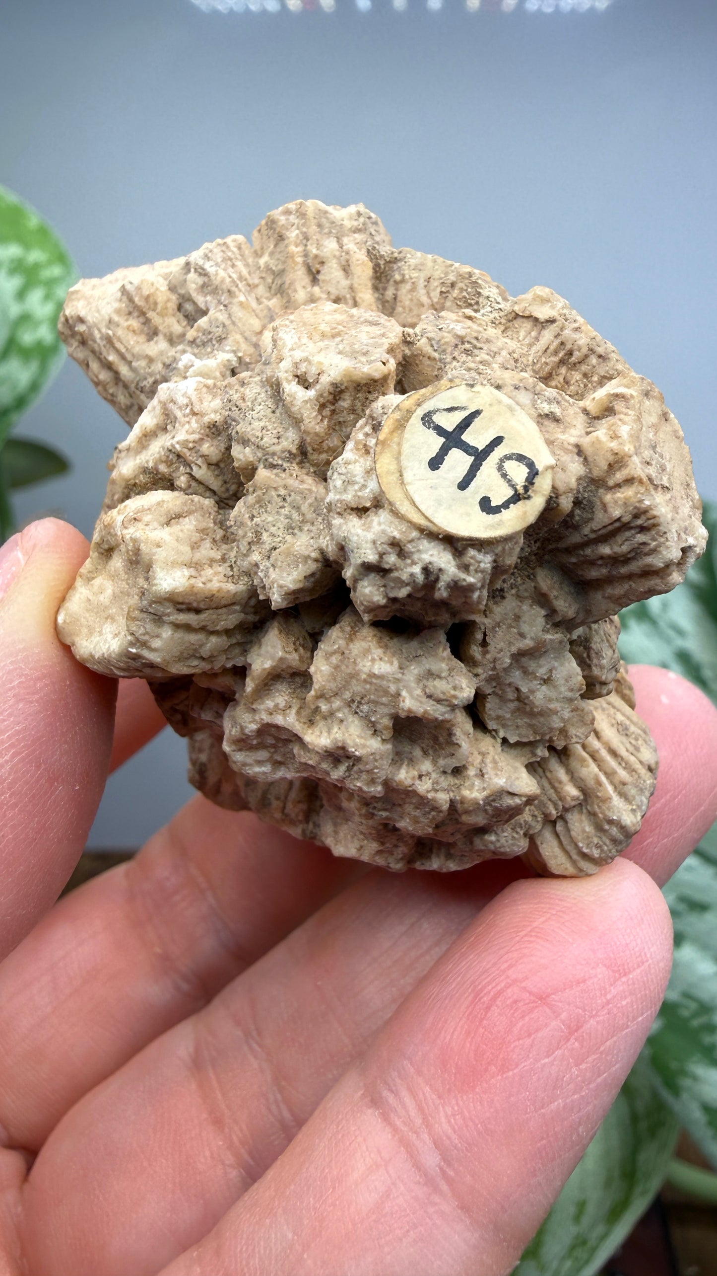 Aragonite (potential pseudomorph?)- Arizona