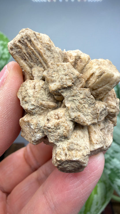 Aragonite (potential pseudomorph?)- Arizona