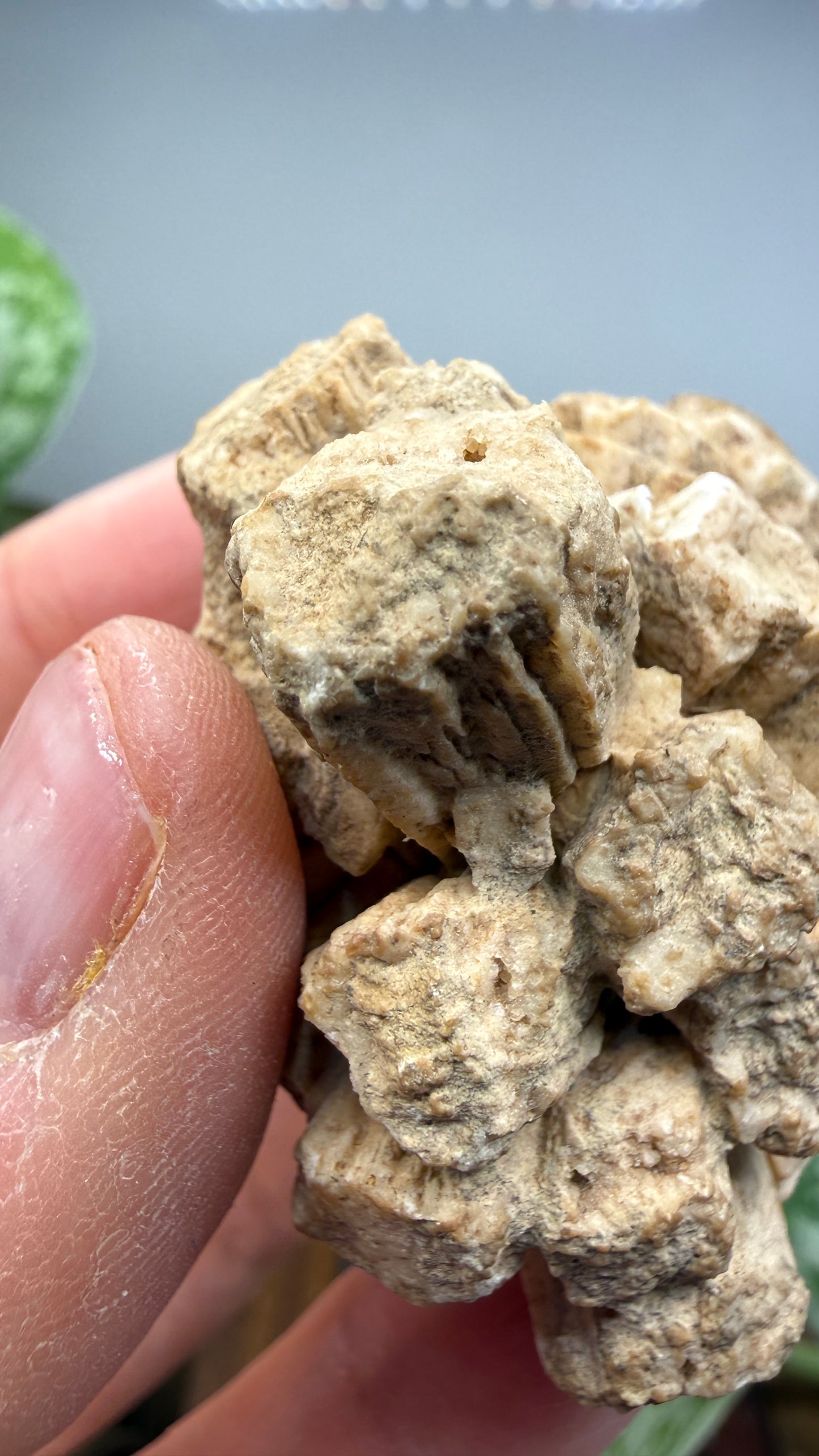 Aragonite (potential pseudomorph?)- Arizona