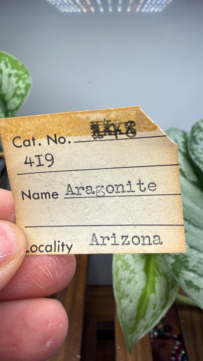 Aragonite (potential pseudomorph?)- Arizona