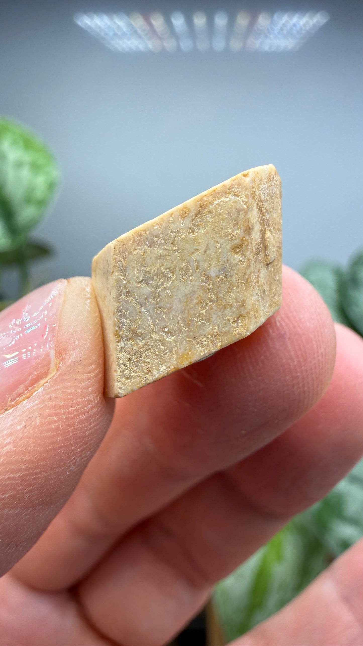 Feldspar- Colorado