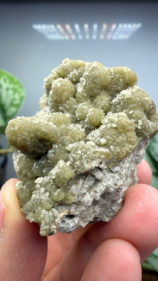 Prehnite, Datolite- Paterson, Passaic County, New Jersey, USA
