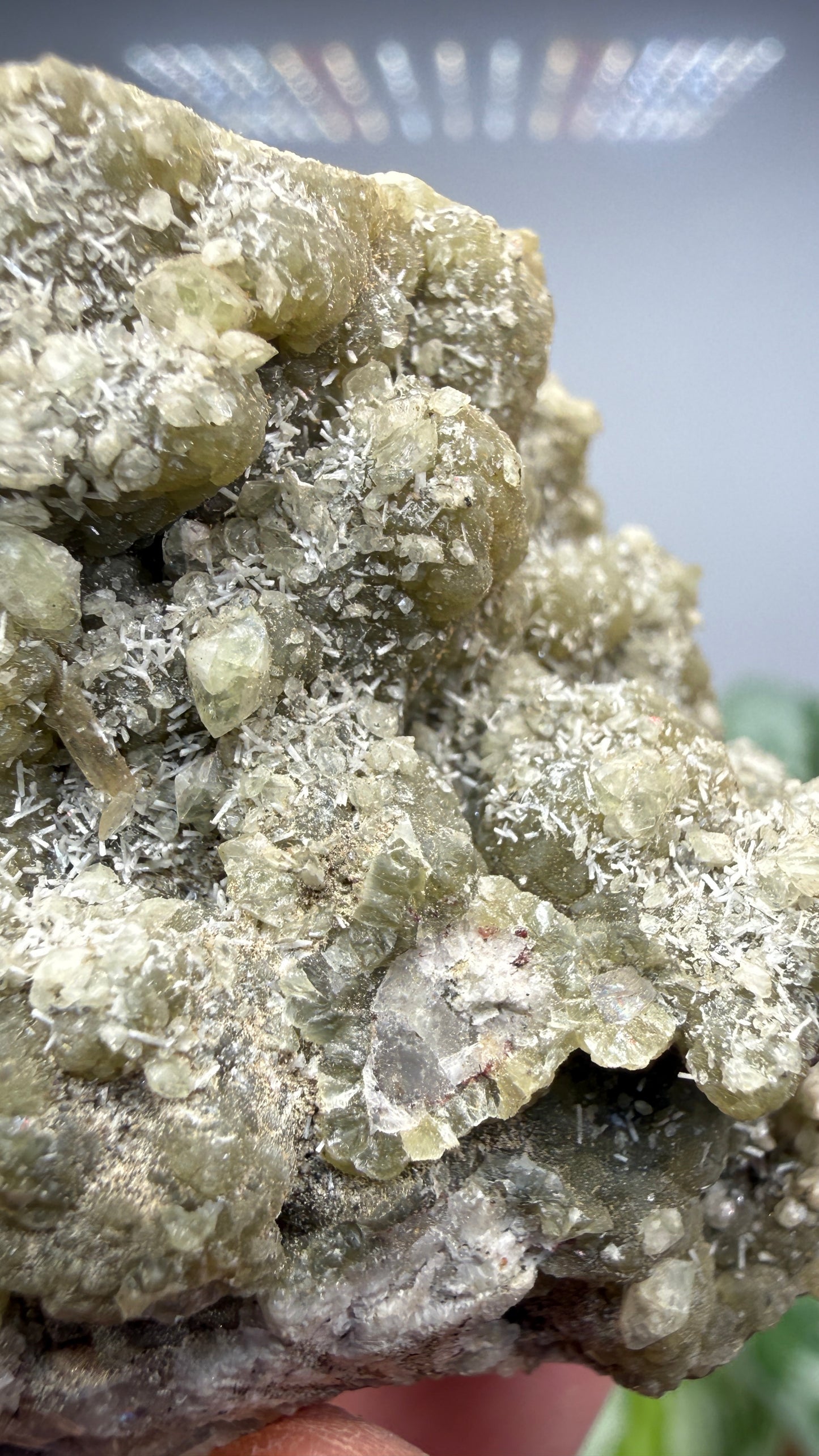 Prehnite, Datolite- Paterson, Passaic County, New Jersey, USA