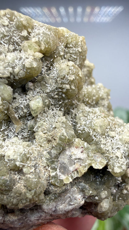 Prehnite, Datolite- Paterson, Passaic County, New Jersey, USA