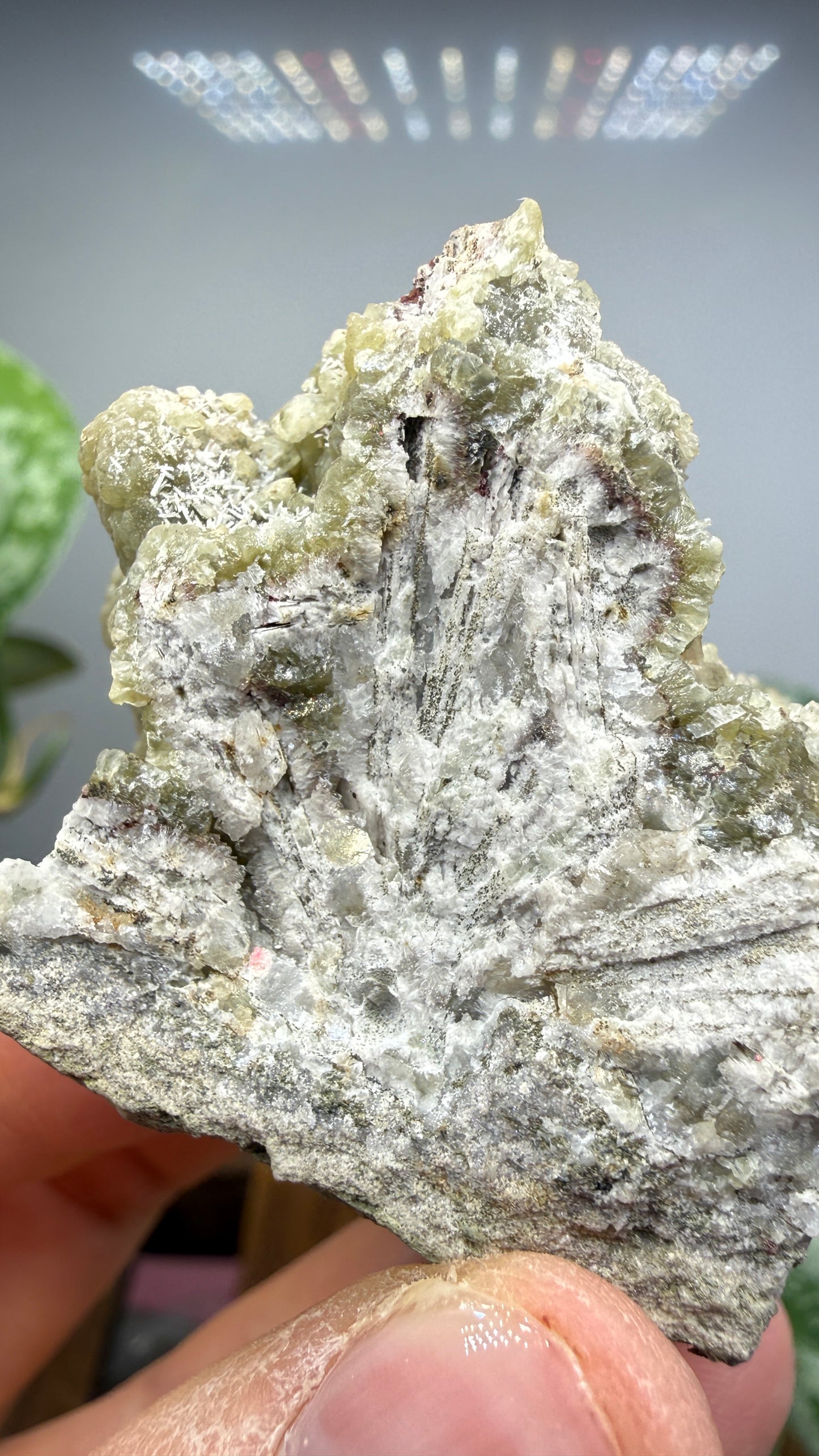 Prehnite, Datolite- Paterson, Passaic County, New Jersey, USA