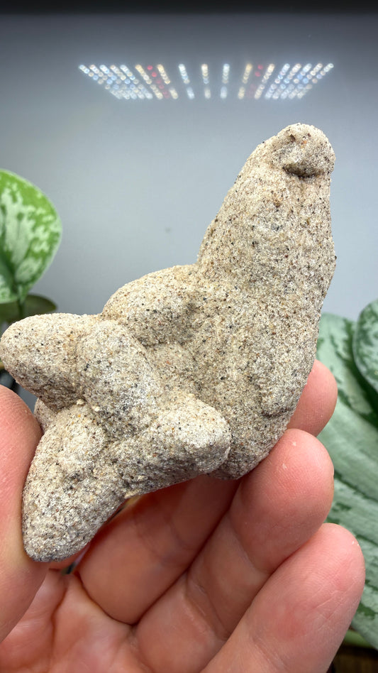 Sand-Calcite Crystals- White River Badlands, South Dakota