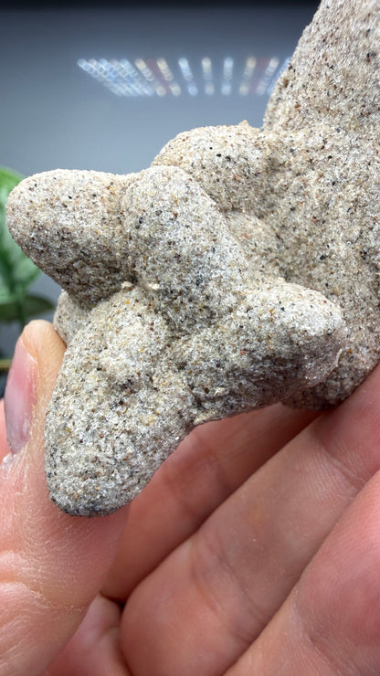 Sand-Calcite Crystals- White River Badlands, South Dakota
