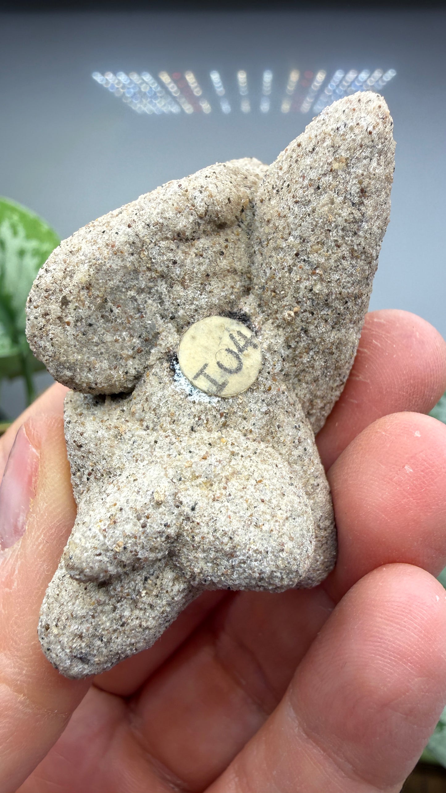 Sand-Calcite Crystals- White River Badlands, South Dakota