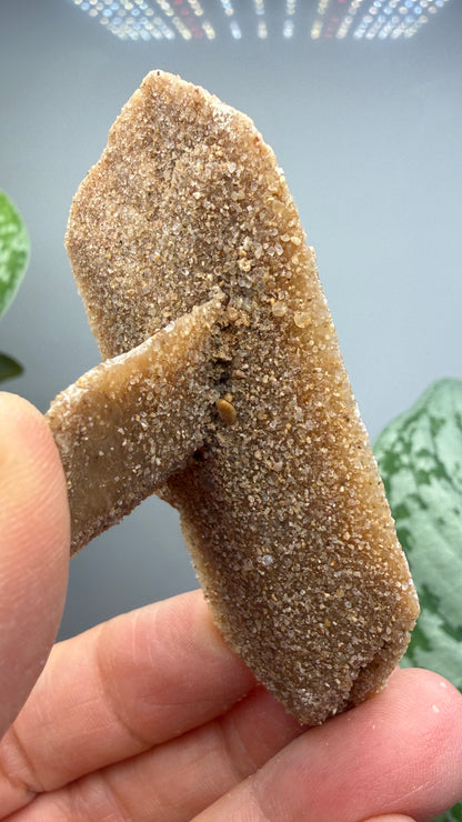 Sand-Included Selenite Crystal Cluster– Western Oklahoma, USA