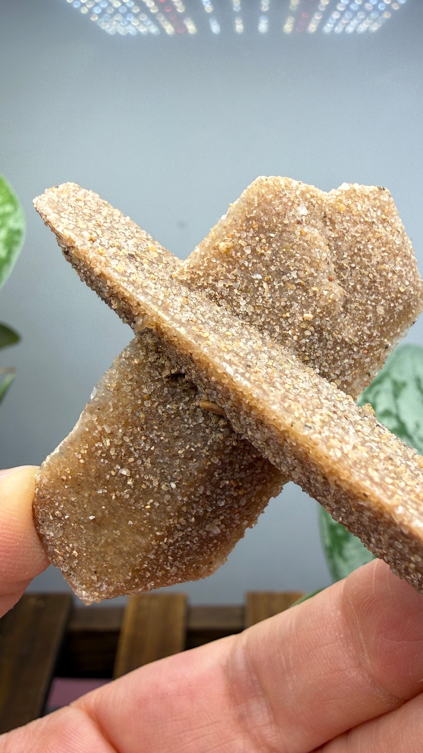 Sand-Included Selenite Crystal Cluster– Western Oklahoma, USA