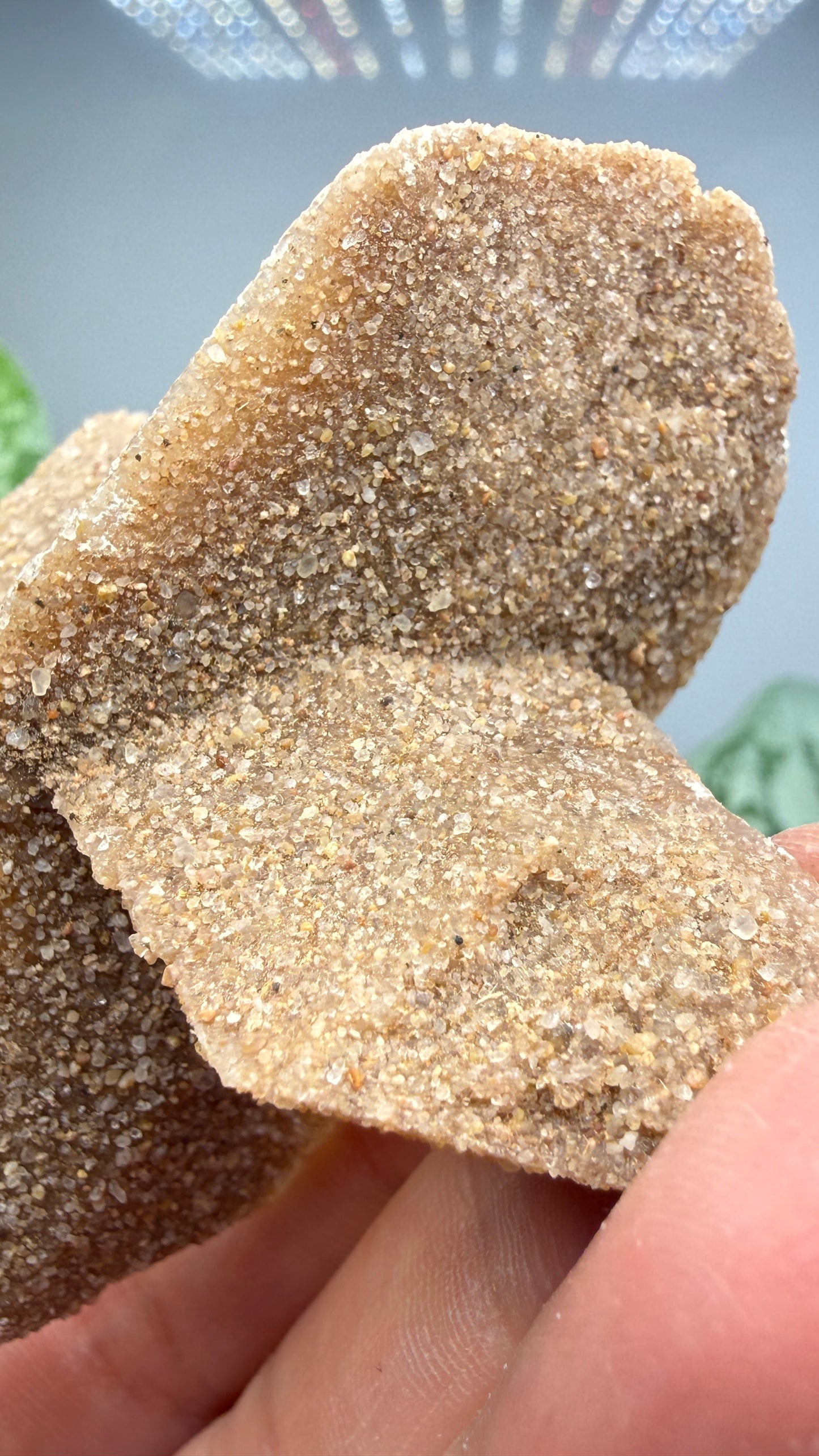 Sand-Included Selenite Crystal Cluster– Western Oklahoma, USA