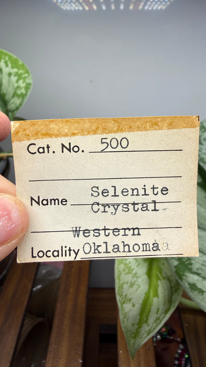 Sand-Included Selenite Crystal Cluster– Western Oklahoma, USA
