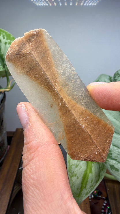 Gypsum var. Selenite- Great Salt Plains, Alfalfa County, Oklahoma, USA