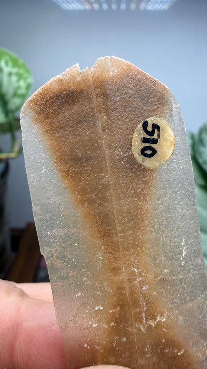 Gypsum var. Selenite- Great Salt Plains, Alfalfa County, Oklahoma, USA