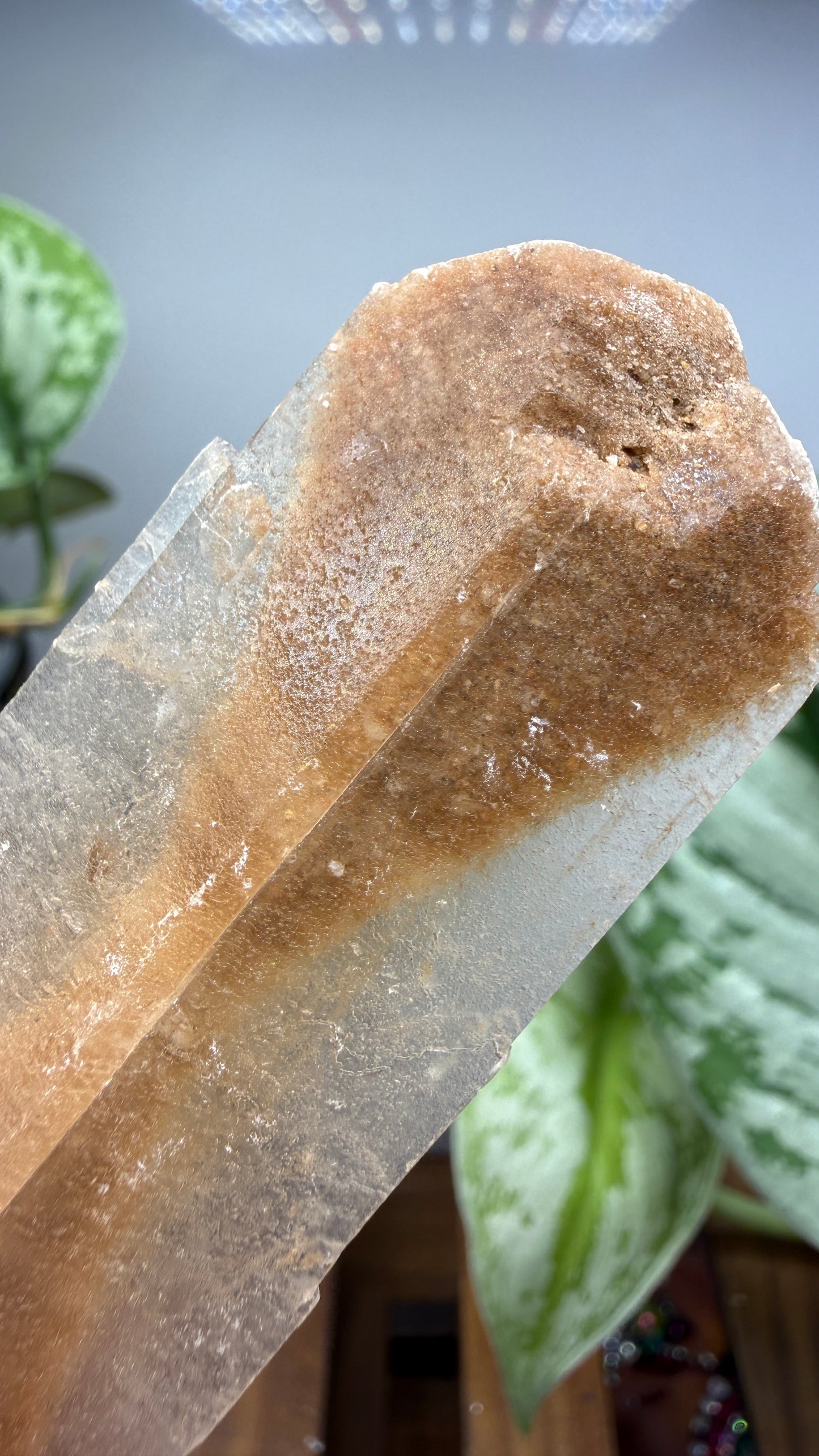 Gypsum var. Selenite- Great Salt Plains, Alfalfa County, Oklahoma, USA