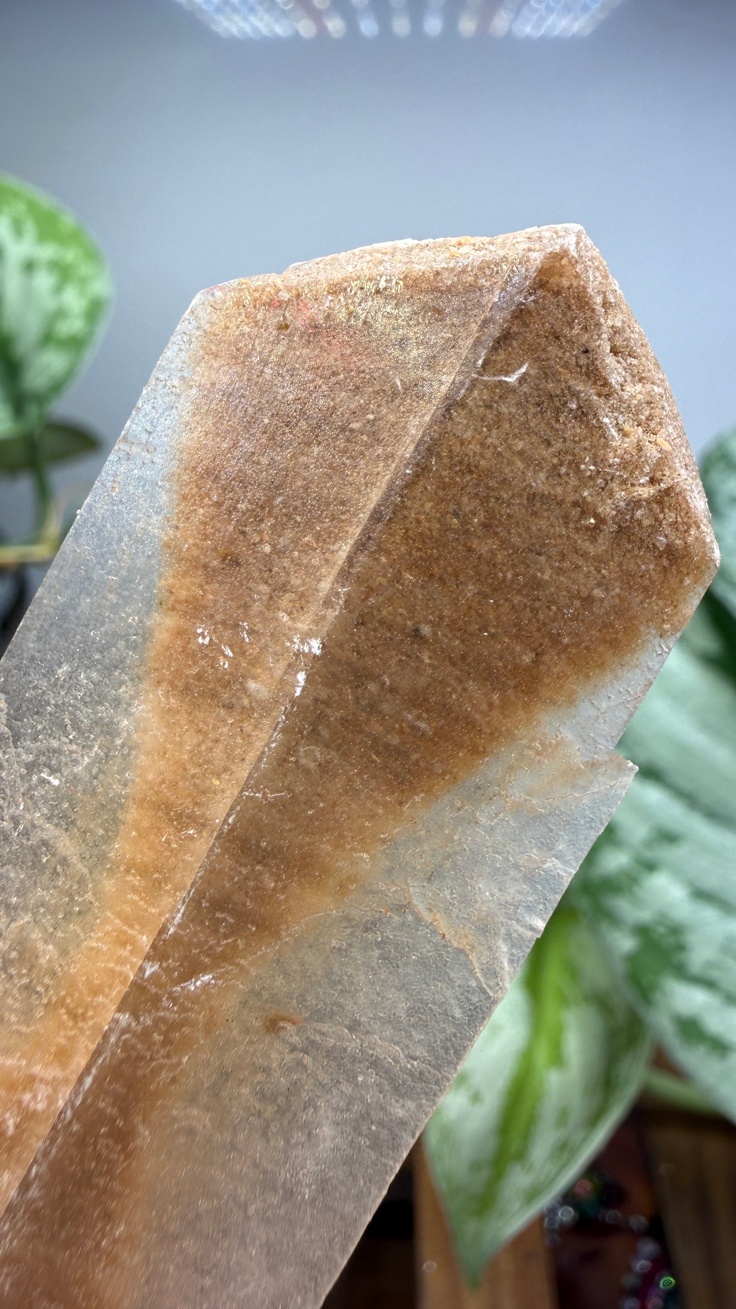 Gypsum var. Selenite- Great Salt Plains, Alfalfa County, Oklahoma, USA