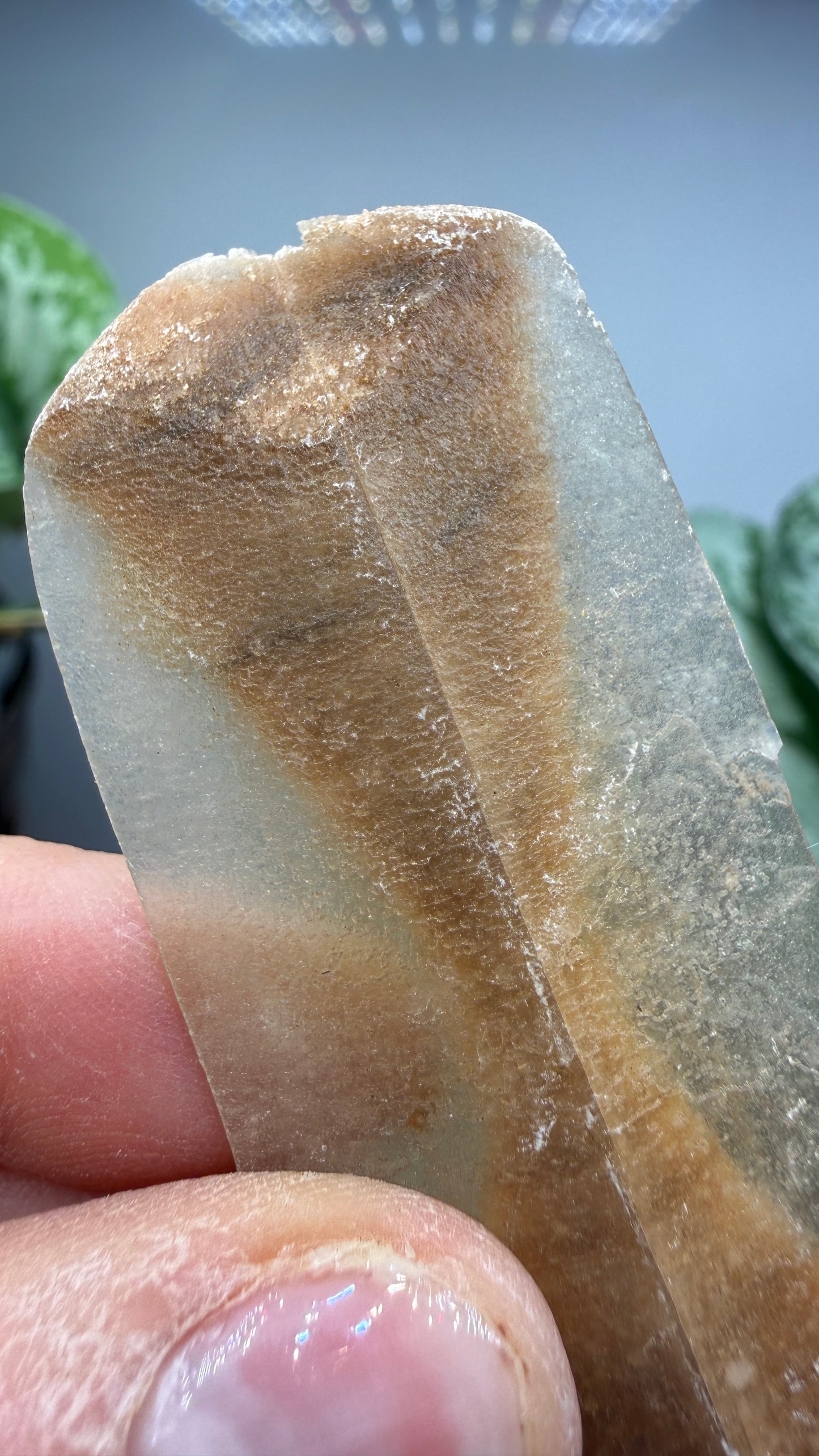 Gypsum var. Selenite- Great Salt Plains, Alfalfa County, Oklahoma, USA