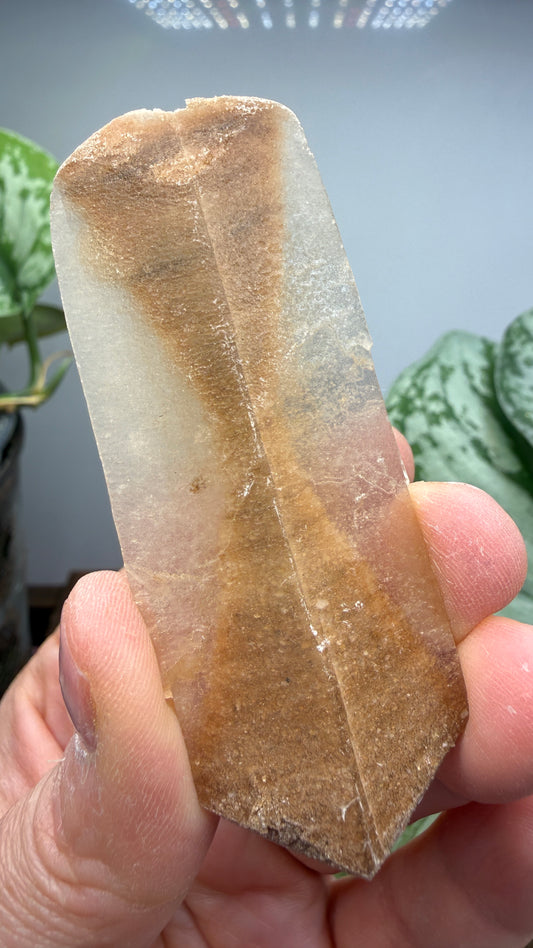 Gypsum var. Selenite- Great Salt Plains, Alfalfa County, Oklahoma, USA