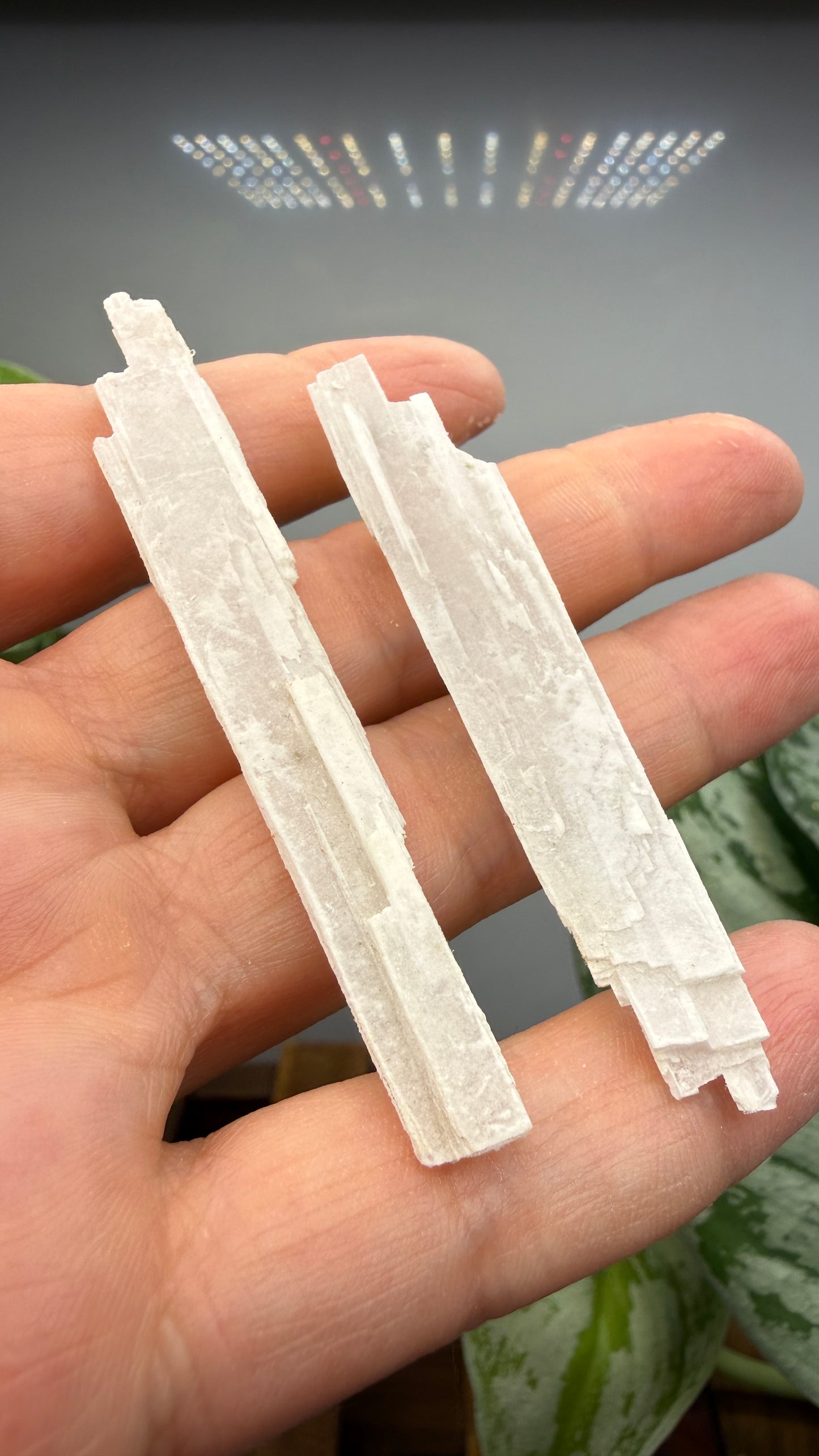 Kernite Crystals – Kramer Borate Deposit, Kern County, California