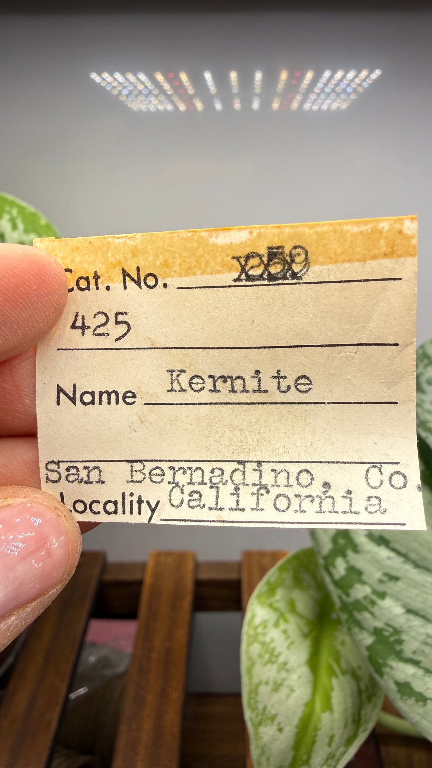 Kernite Crystals – Kramer Borate Deposit, Kern County, California