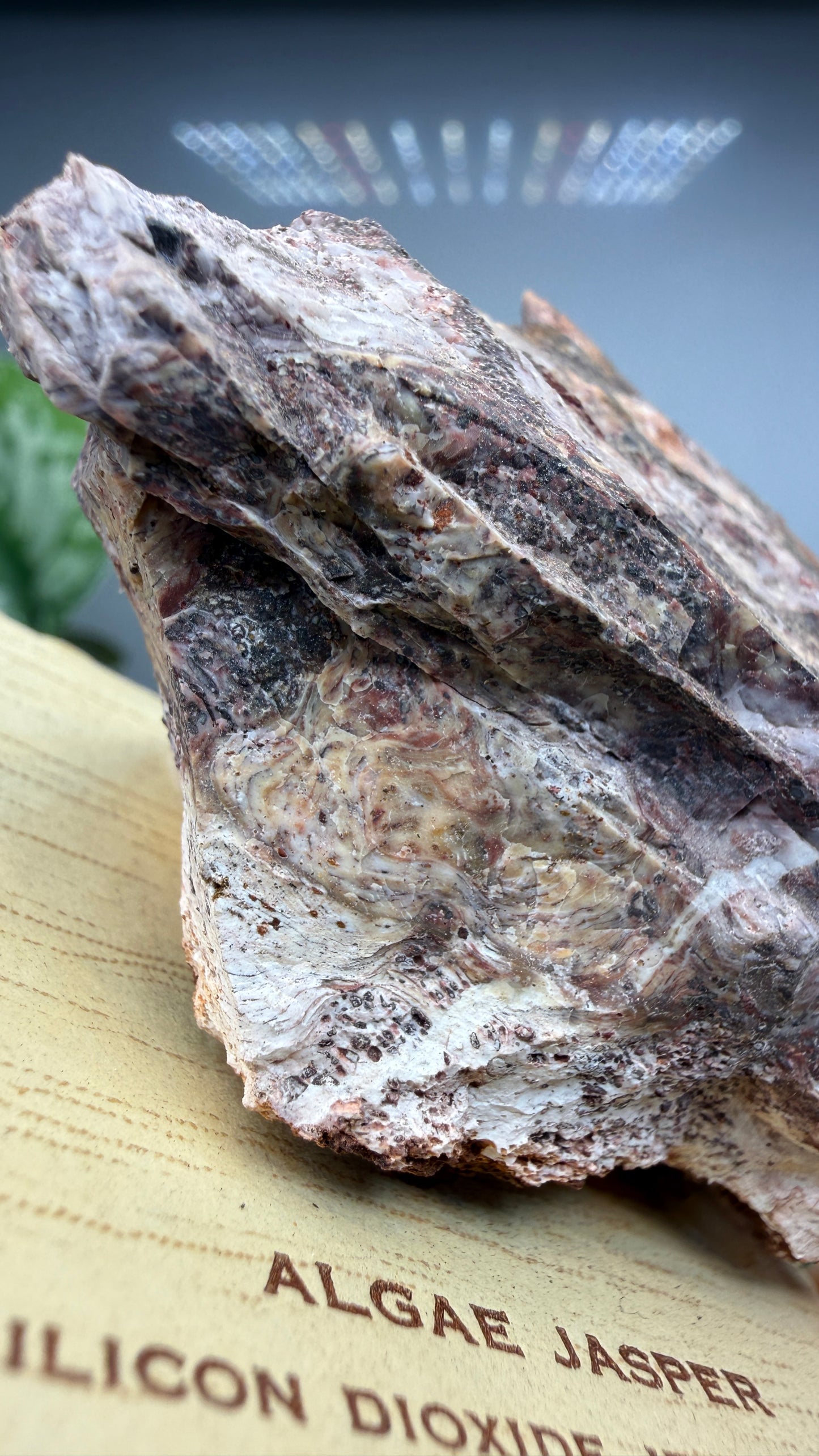 Algae Jasper/Stromatolitic Jasper– Minnesota