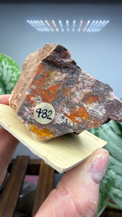 Algae Jasper/Stromatolitic Jasper– Minnesota