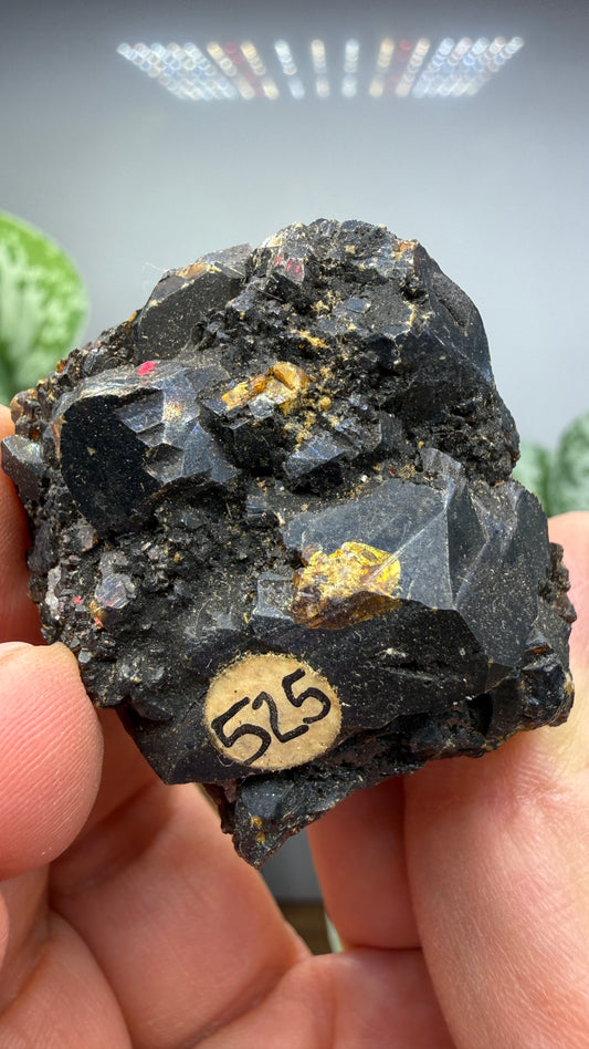 Sphalerite (Ruby Jack)- Joplin, Tri-State District, Missouri, USA
