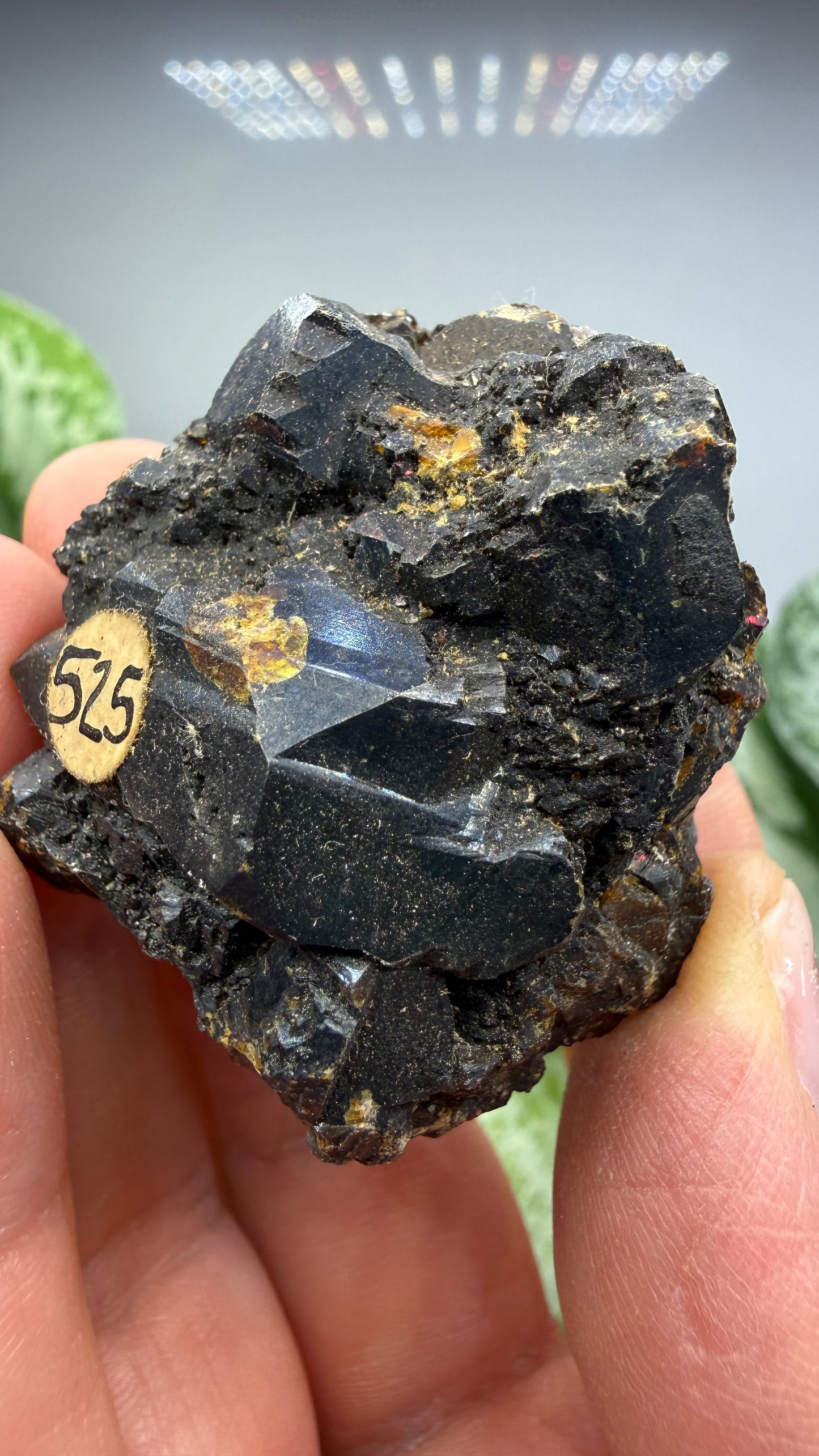 Sphalerite (Ruby Jack)- Joplin, Tri-State District, Missouri, USA