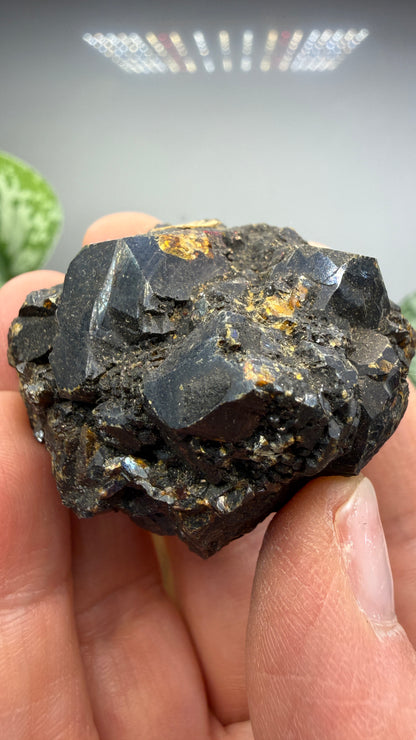 Sphalerite (Ruby Jack)- Joplin, Tri-State District, Missouri, USA