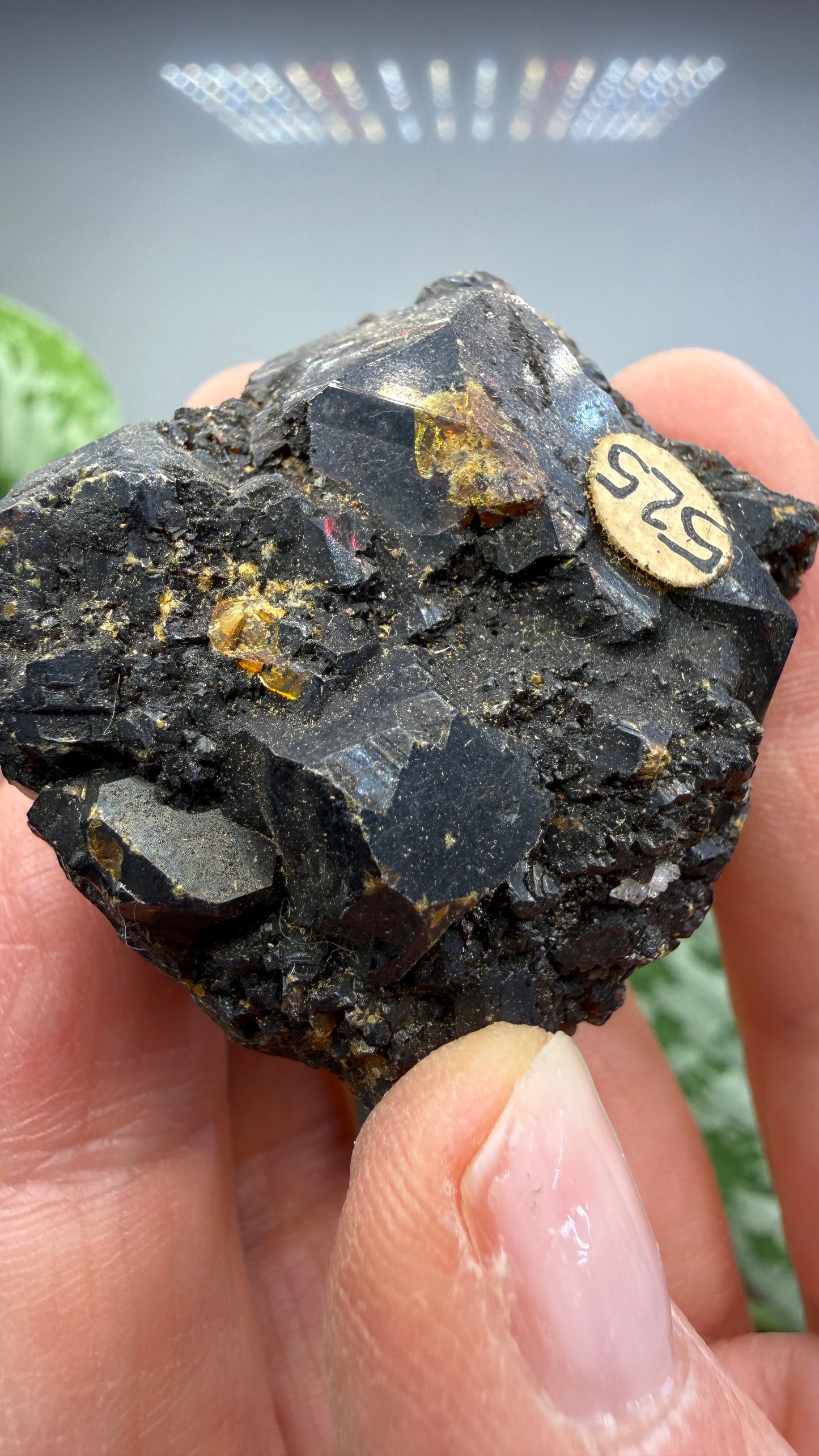 Sphalerite (Ruby Jack)- Joplin, Tri-State District, Missouri, USA
